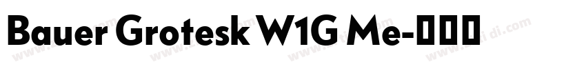 Bauer Grotesk W1G Me字体转换